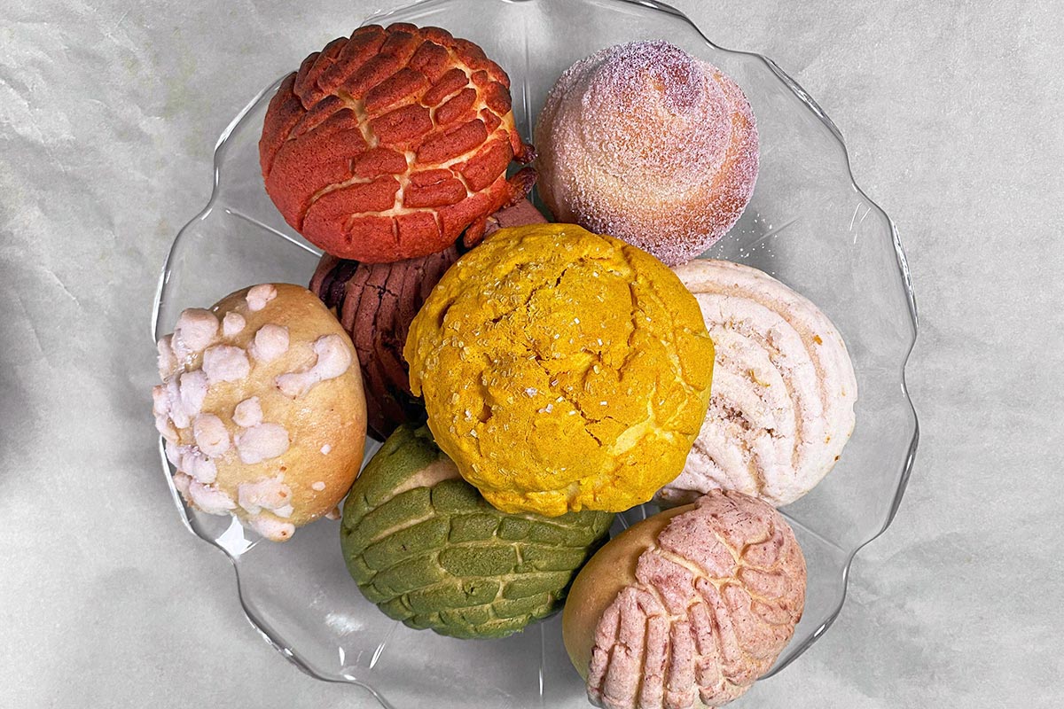 Different varieties of conchas