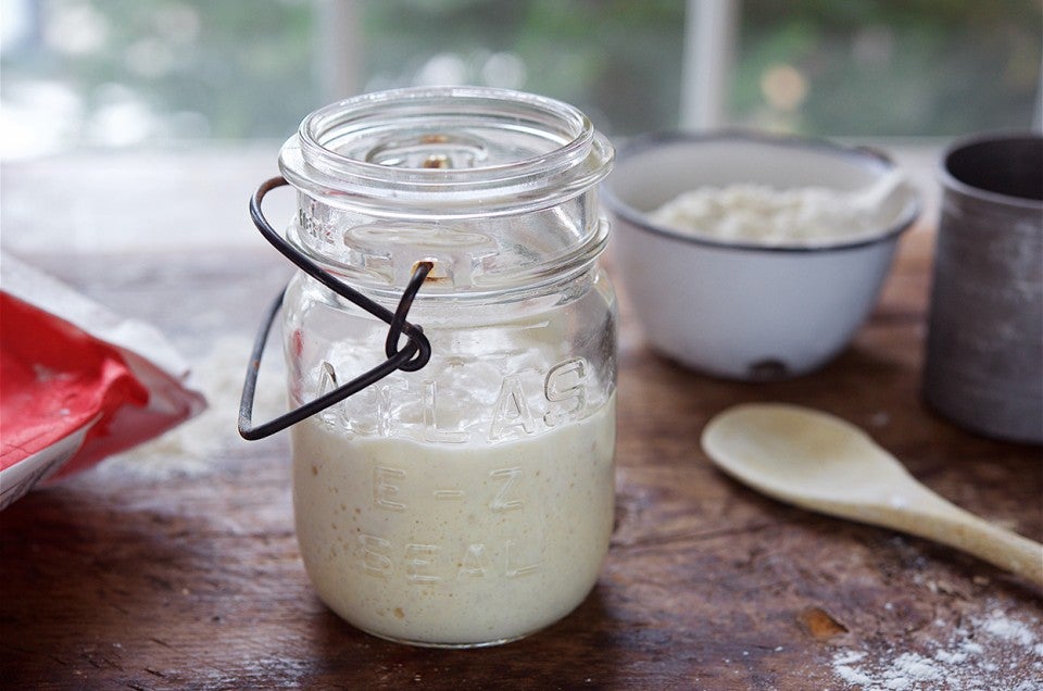 Sourdough Starter