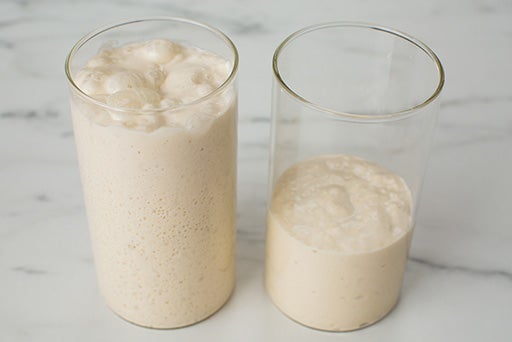 Sourdough Starter – Step 10